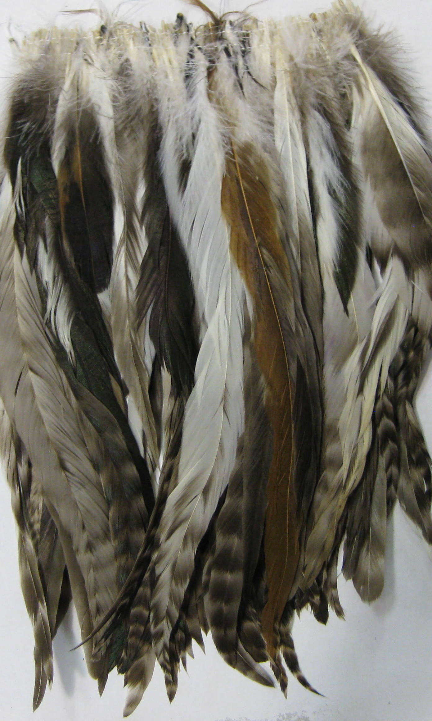 COCK FEATHER